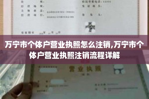 万宁市个体户营业执照怎么注销,万宁市个体户营业执照注销流程详解