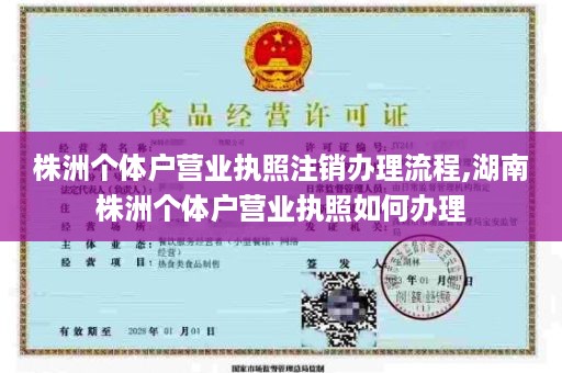 株洲个体户营业执照注销办理流程,湖南株洲个体户营业执照如何办理