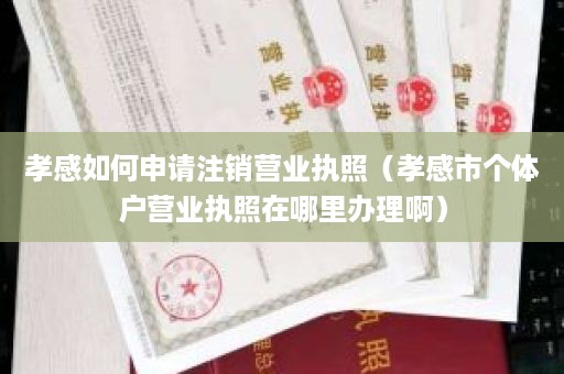 孝感如何申请注销营业执照（孝感市个体户营业执照在哪里办理啊）