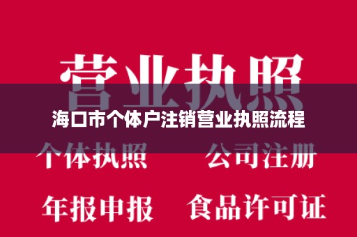 海口市个体户注销营业执照流程