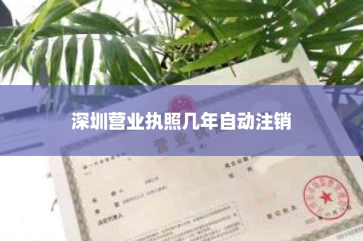 深圳营业执照几年自动注销