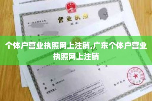 个体户营业执照网上注销,广东个体户营业执照网上注销