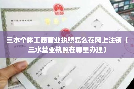 三水个体工商营业执照怎么在网上注销（三水营业执照在哪里办理）