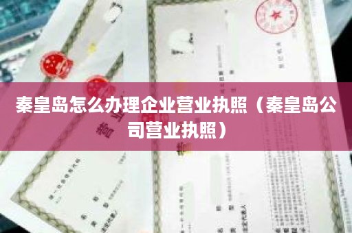秦皇岛怎么办理企业营业执照（秦皇岛公司营业执照）