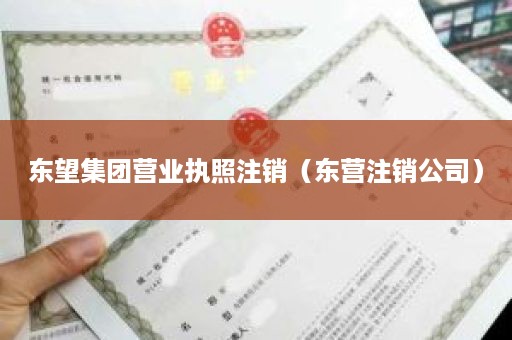 东望集团营业执照注销（东营注销公司）
