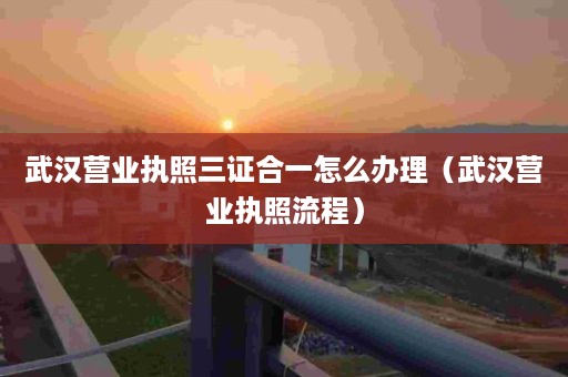 武汉营业执照三证合一怎么办理（武汉营业执照流程）