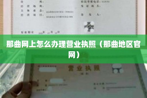 那曲网上怎么办理营业执照（那曲地区官网）