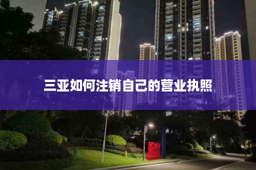 三亚如何注销自己的营业执照