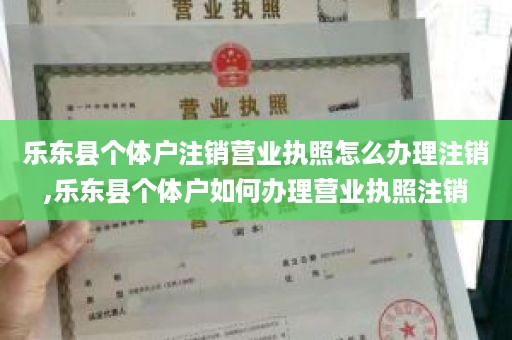 乐东县个体户注销营业执照怎么办理注销,乐东县个体户如何办理营业执照注销