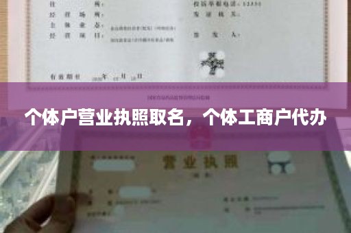 个体户营业执照取名，个体工商户代办