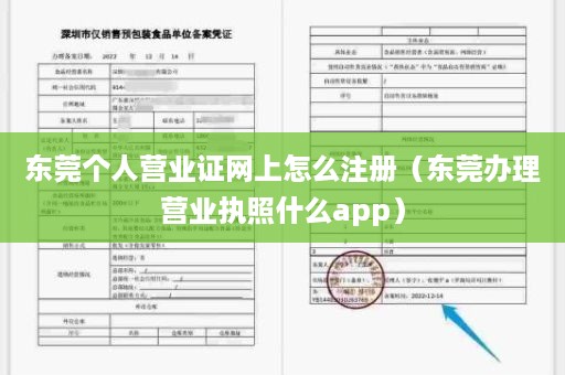 东莞个人营业证网上怎么注册（东莞办理营业执照什么app）