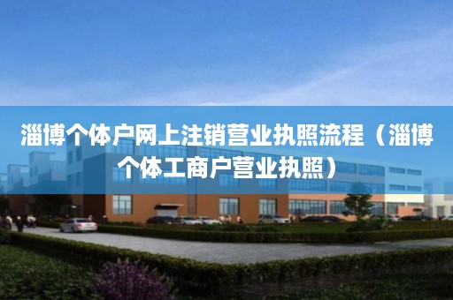 淄博个体户网上注销营业执照流程（淄博个体工商户营业执照）
