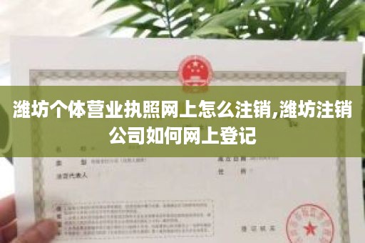 潍坊个体营业执照网上怎么注销,潍坊注销公司如何网上登记
