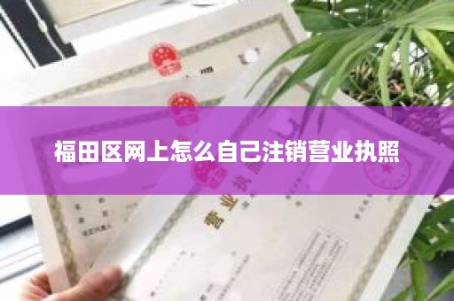 福田区网上怎么自己注销营业执照