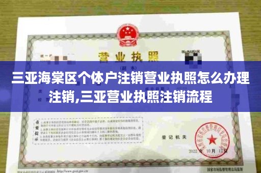 三亚海棠区个体户注销营业执照怎么办理注销,三亚营业执照注销流程