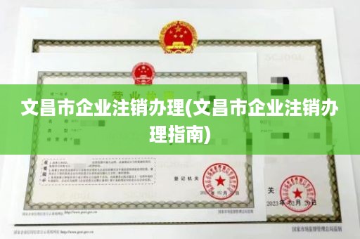 文昌市企业注销办理(文昌市企业注销办理指南)