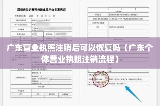 广东营业执照注销后可以恢复吗（广东个体营业执照注销流程）