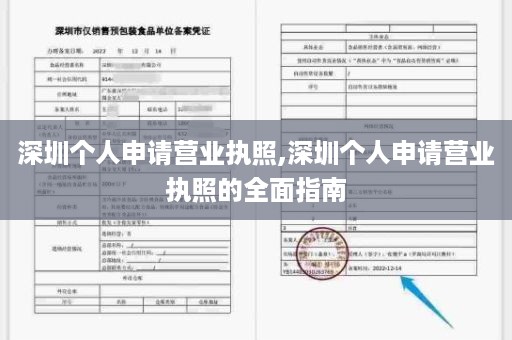 深圳个人申请营业执照,深圳个人申请营业执照的全面指南