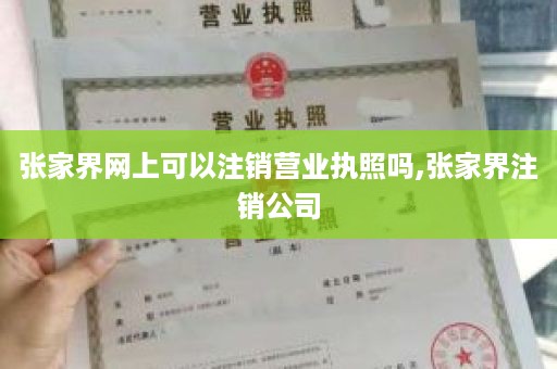 张家界网上可以注销营业执照吗,张家界注销公司