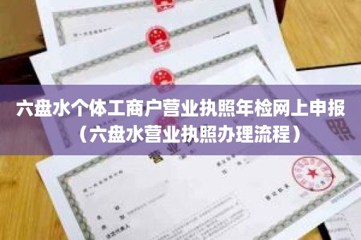 六盘水个体工商户营业执照年检网上申报（六盘水营业执照办理流程）