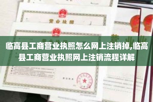 临高县工商营业执照怎么网上注销掉,临高县工商营业执照网上注销流程详解