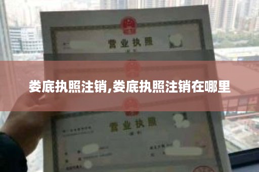 娄底执照注销,娄底执照注销在哪里