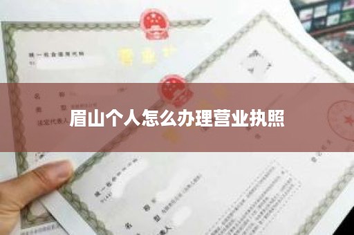 眉山个人怎么办理营业执照