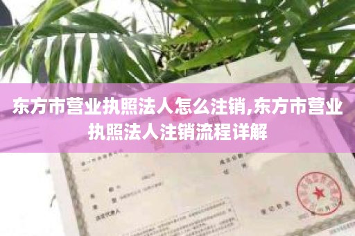 东方市营业执照法人怎么注销,东方市营业执照法人注销流程详解