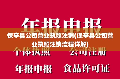保亭县公司营业执照注销(保亭县公司营业执照注销流程详解)