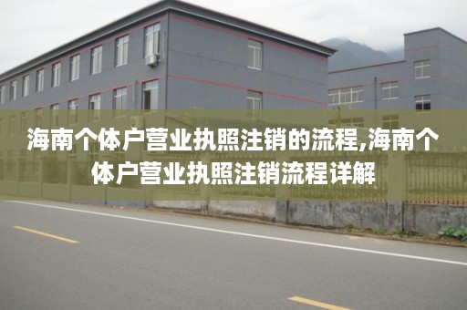 海南个体户营业执照注销的流程,海南个体户营业执照注销流程详解