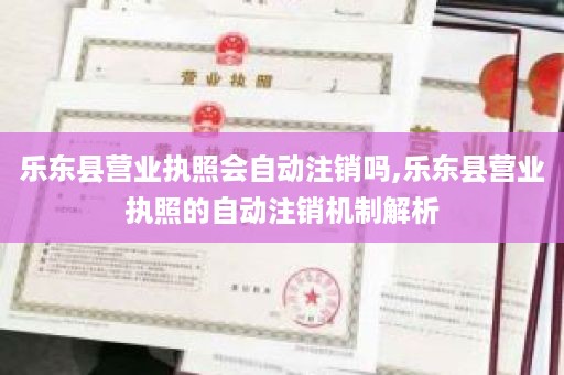 乐东县营业执照会自动注销吗,乐东县营业执照的自动注销机制解析