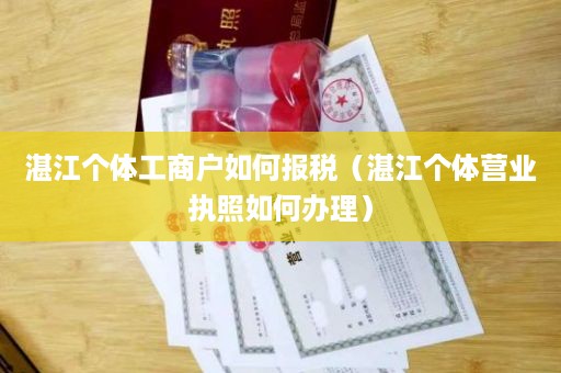 湛江个体工商户如何报税（湛江个体营业执照如何办理）