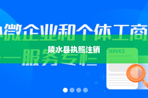 陵水县执照注销