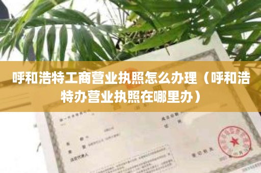 呼和浩特工商营业执照怎么办理（呼和浩特办营业执照在哪里办）