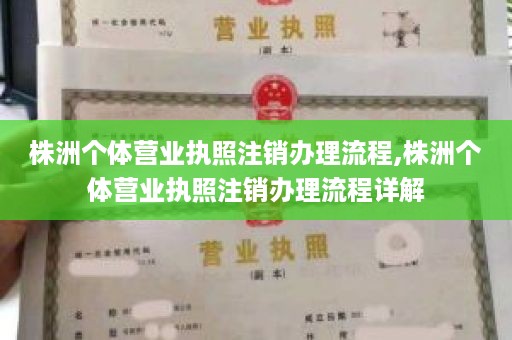 株洲个体营业执照注销办理流程,株洲个体营业执照注销办理流程详解