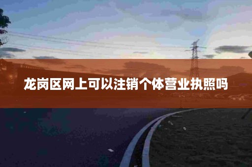 龙岗区网上可以注销个体营业执照吗