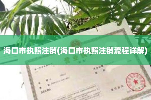 海口市执照注销(海口市执照注销流程详解)