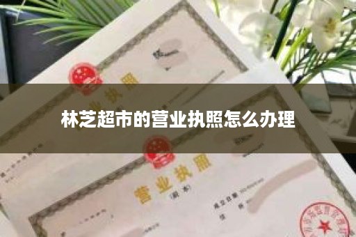 林芝超市的营业执照怎么办理