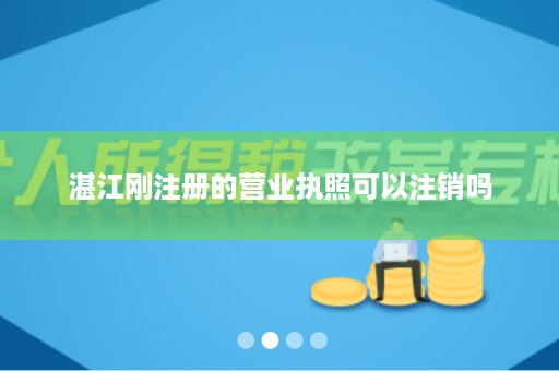 湛江刚注册的营业执照可以注销吗