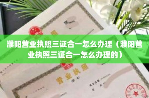 濮阳营业执照三证合一怎么办理（濮阳营业执照三证合一怎么办理的）