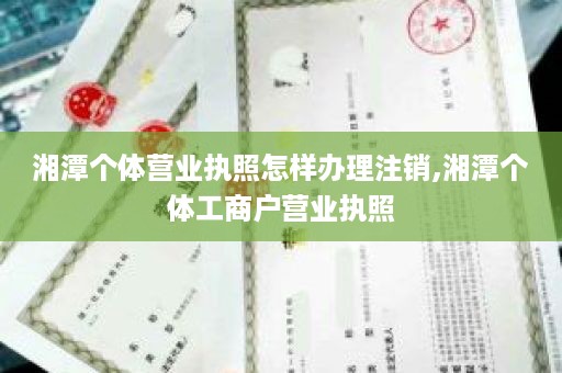 湘潭个体营业执照怎样办理注销,湘潭个体工商户营业执照