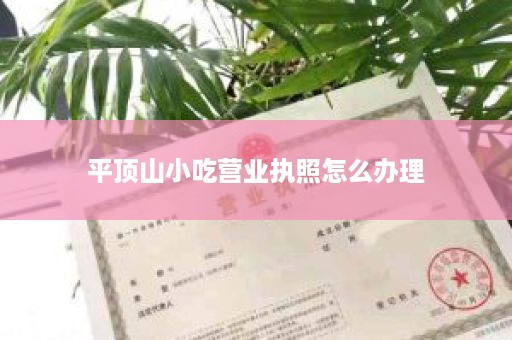平顶山小吃营业执照怎么办理