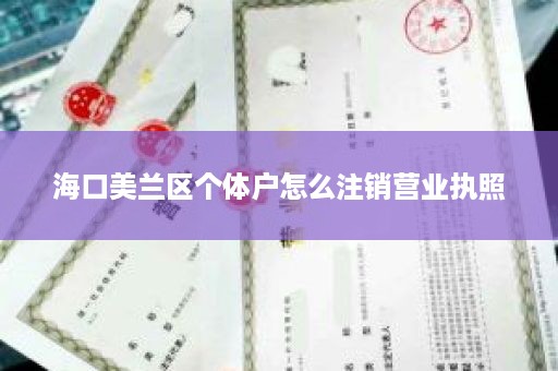 海口美兰区个体户怎么注销营业执照