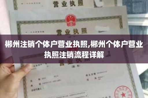 郴州注销个体户营业执照,郴州个体户营业执照注销流程详解