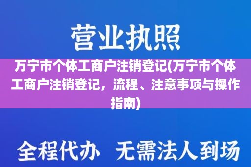 万宁市个体工商户注销登记(万宁市个体工商户注销登记，流程、注意事项与操作指南)