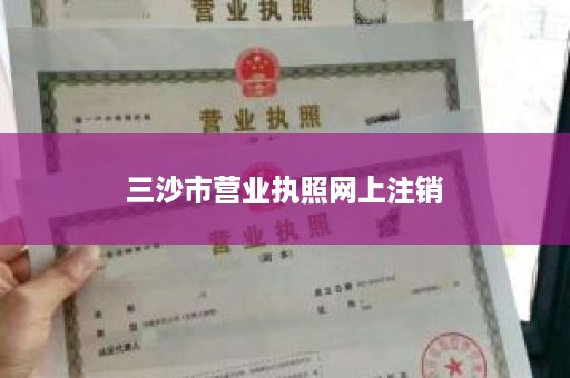 三沙市营业执照网上注销