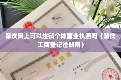 肇庆网上可以注销个体营业执照吗（肇庆工商登记注册网）
