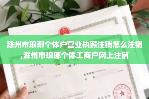 滁州市琅琊个体户营业执照注销怎么注销,滁州市琅琊个体工商户网上注销