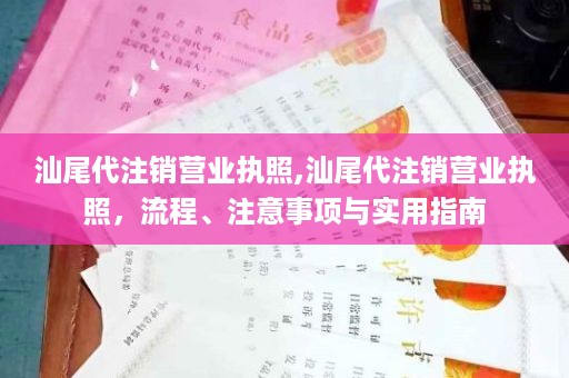 汕尾代注销营业执照,汕尾代注销营业执照，流程、注意事项与实用指南