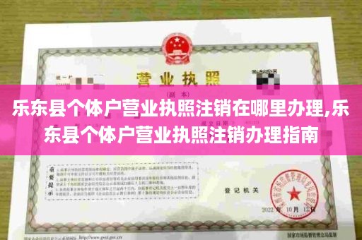 乐东县个体户营业执照注销在哪里办理,乐东县个体户营业执照注销办理指南
